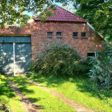 Rust En Stilte In De Natuur Onstwedde Luaran gambar